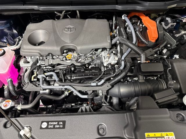 2026 Toyota Sienna Limited 7 Passenger
